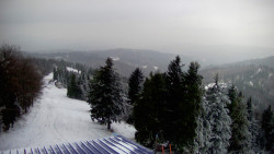 Lalíky vrcholová stanice