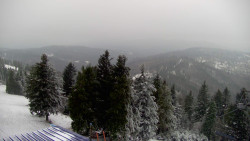 Lalíky vrcholová stanice