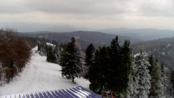 Lalíky vrcholová stanice