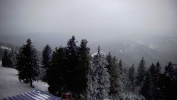 Lalíky vrcholová stanice