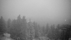 Lalíky vrcholová stanice