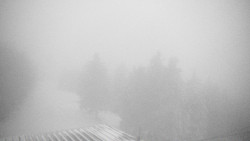 Lalíky vrcholová stanice