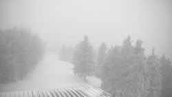 Lalíky vrcholová stanice