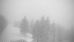 Lalíky vrcholová stanice