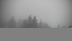 Lalíky vrcholová stanice