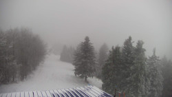 Lalíky vrcholová stanice