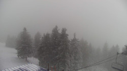 Lalíky vrcholová stanice