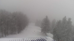 Lalíky vrcholová stanice