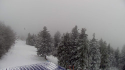 Lalíky vrcholová stanice