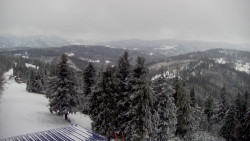 Lalíky vrcholová stanice