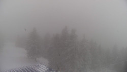 Lalíky vrcholová stanice