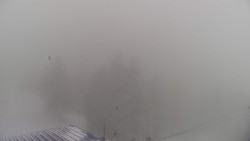 Lalíky vrcholová stanice