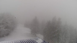 Lalíky vrcholová stanice