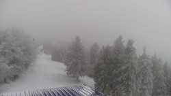 Lalíky vrcholová stanice