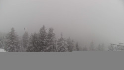 Lalíky vrcholová stanice