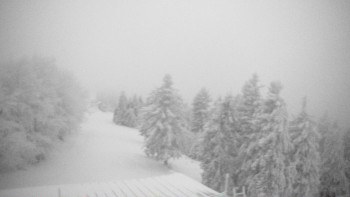 Snímek 23.11.2025 v 06:30