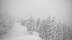 Lalíky vrcholová stanice