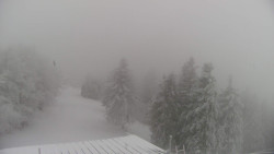 Lalíky vrcholová stanice