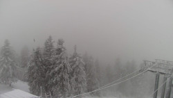 Lalíky vrcholová stanice