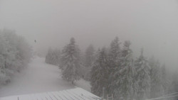 Lalíky vrcholová stanice