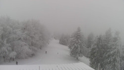 Lalíky vrcholová stanice