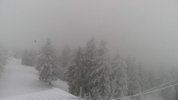 Lalíky vrcholová stanice