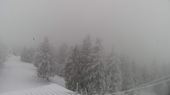 Snímek 23.11.2025 v 11:00