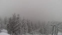 Lalíky vrcholová stanice