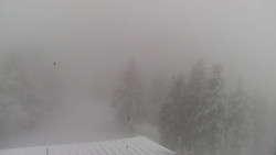 Lalíky vrcholová stanice