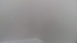 Lalíky vrcholová stanice