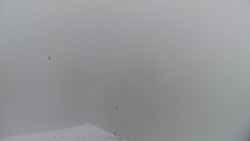 Lalíky vrcholová stanice