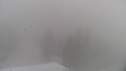 Lalíky vrcholová stanice