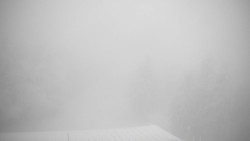 Lalíky vrcholová stanice