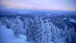 Lalíky vrcholová stanice