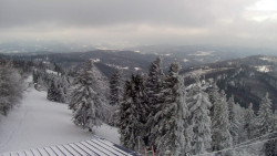 Lalíky vrcholová stanice