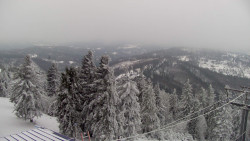 Lalíky vrcholová stanice