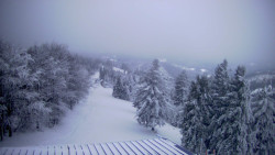 Lalíky vrcholová stanice