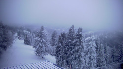 Lalíky vrcholová stanice