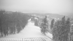 Lalíky vrcholová stanice