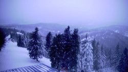 Lalíky vrcholová stanice