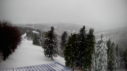 Lalíky vrcholová stanice