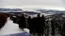 Lalíky vrcholová stanice