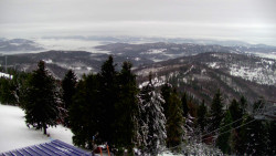 Lalíky vrcholová stanice