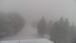 Lalíky vrcholová stanice