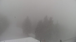 Lalíky vrcholová stanice