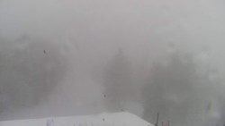 Lalíky vrcholová stanice