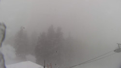 Lalíky vrcholová stanice