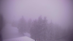 Lalíky vrcholová stanice