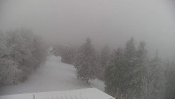 Lalíky vrcholová stanice