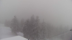 Lalíky vrcholová stanice